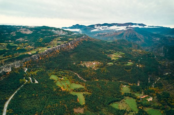 Les dimensions d'un terrain de basket-ball expliquées